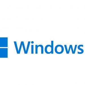 Windows 11 Mastery Guide for Senior Citizens